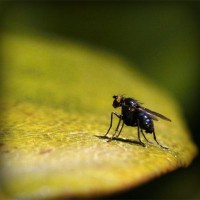 /album/inapdiruck/photolia-a07-jpg/
